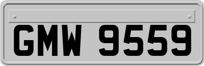 GMW9559