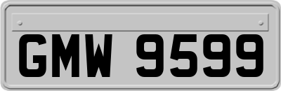 GMW9599
