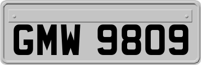 GMW9809