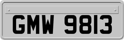 GMW9813