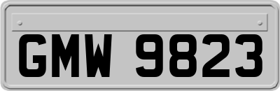 GMW9823