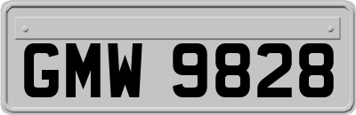 GMW9828