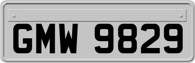 GMW9829