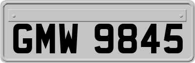 GMW9845