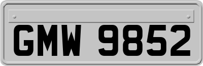 GMW9852