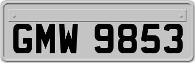 GMW9853