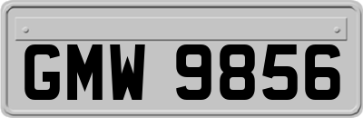 GMW9856