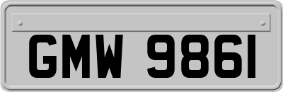 GMW9861