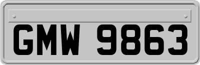 GMW9863