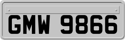 GMW9866
