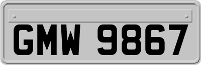 GMW9867
