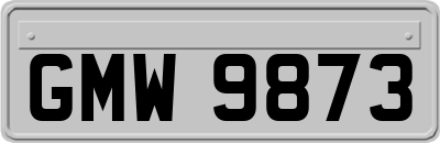 GMW9873