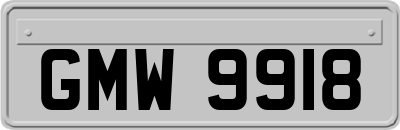GMW9918