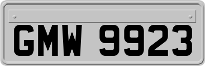 GMW9923