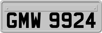 GMW9924
