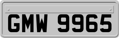 GMW9965