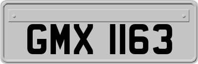 GMX1163