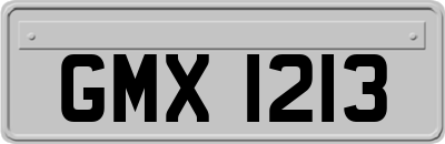 GMX1213