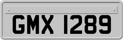 GMX1289
