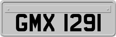 GMX1291