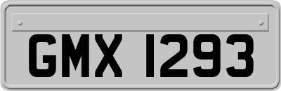 GMX1293