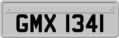 GMX1341