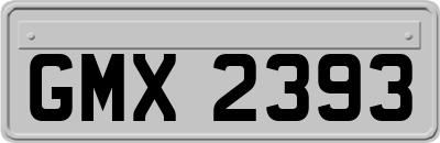 GMX2393