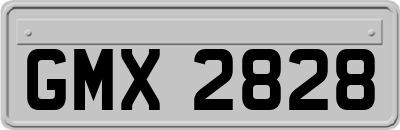 GMX2828