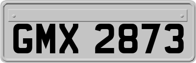 GMX2873