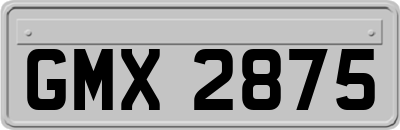 GMX2875