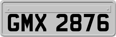 GMX2876