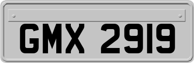 GMX2919