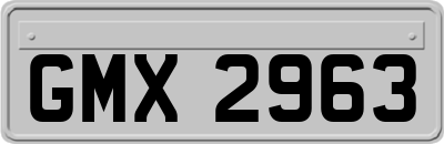 GMX2963