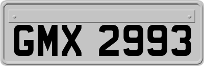 GMX2993