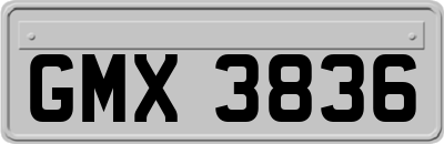 GMX3836