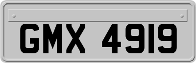 GMX4919