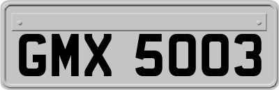 GMX5003