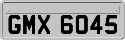GMX6045