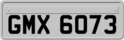 GMX6073