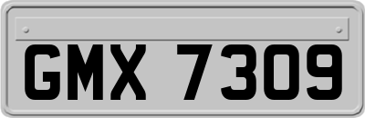 GMX7309