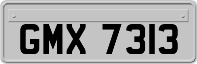 GMX7313