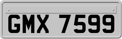 GMX7599