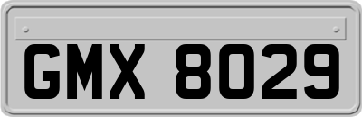 GMX8029