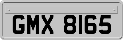 GMX8165