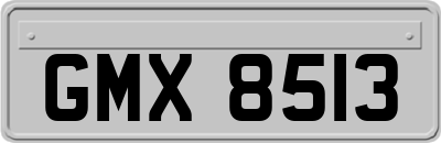 GMX8513