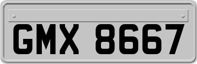 GMX8667