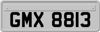 GMX8813