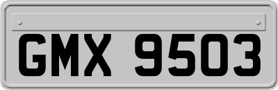 GMX9503