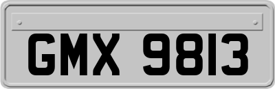 GMX9813