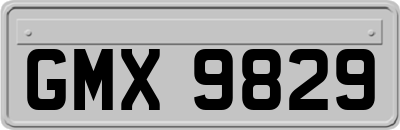GMX9829